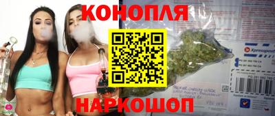 прущие крисы Вязьма