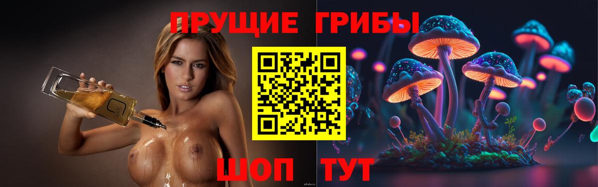 Добрянка  Псилоцибиновые грибы мицелий  Вход с VPN 